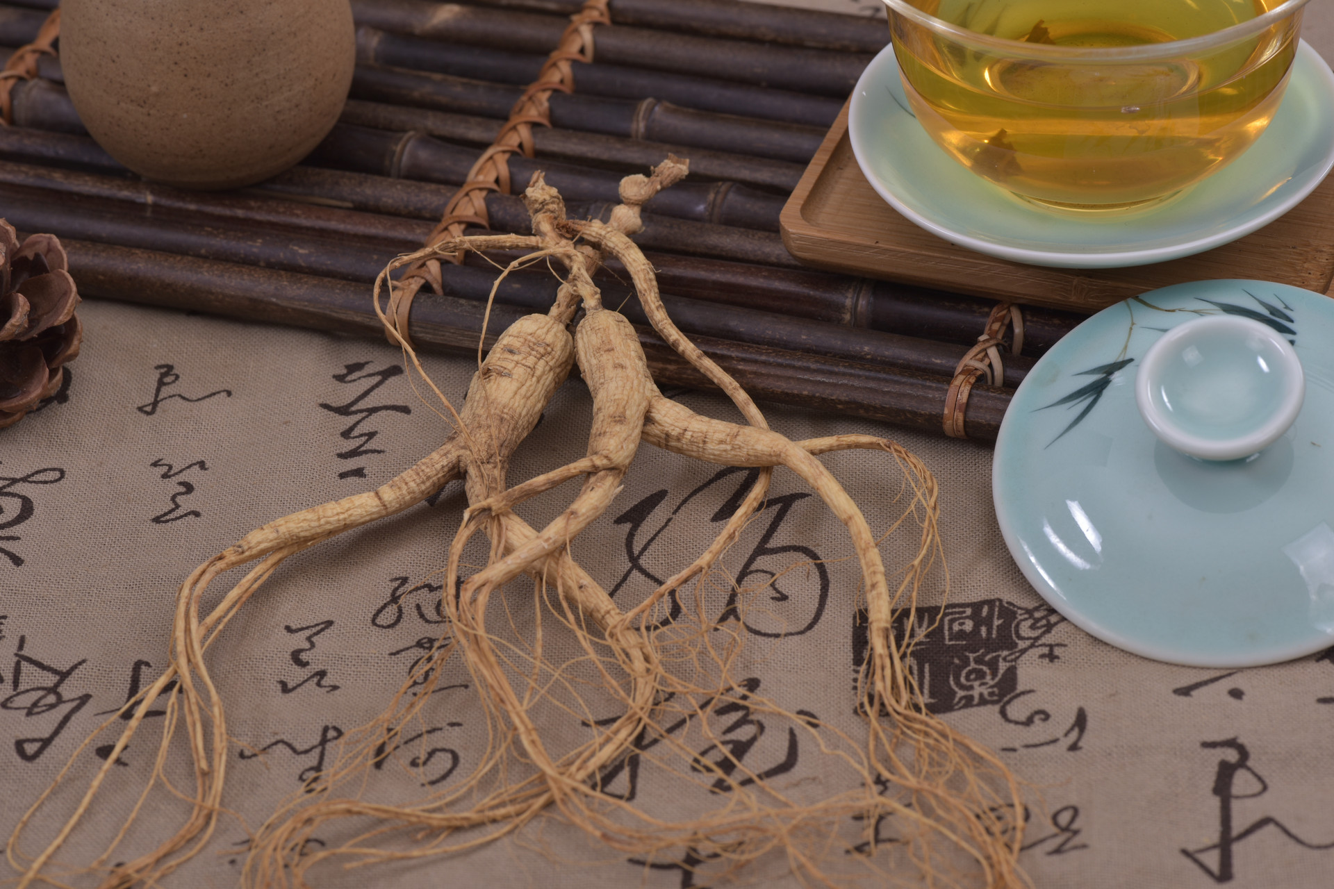 摄图网_500629373_banner_精阳参（企业商用）.jpg