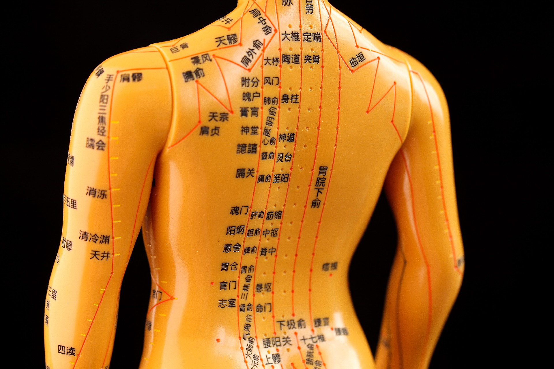 摄图网_350092703_古代中医用针灸模型理疗全身经络穴位（企业商用）.jpg